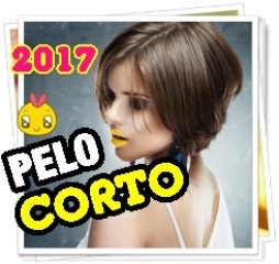 moda-cortes-de-pelo-2017-mujer-33_13 Moda cortes de pelo 2017 mujer